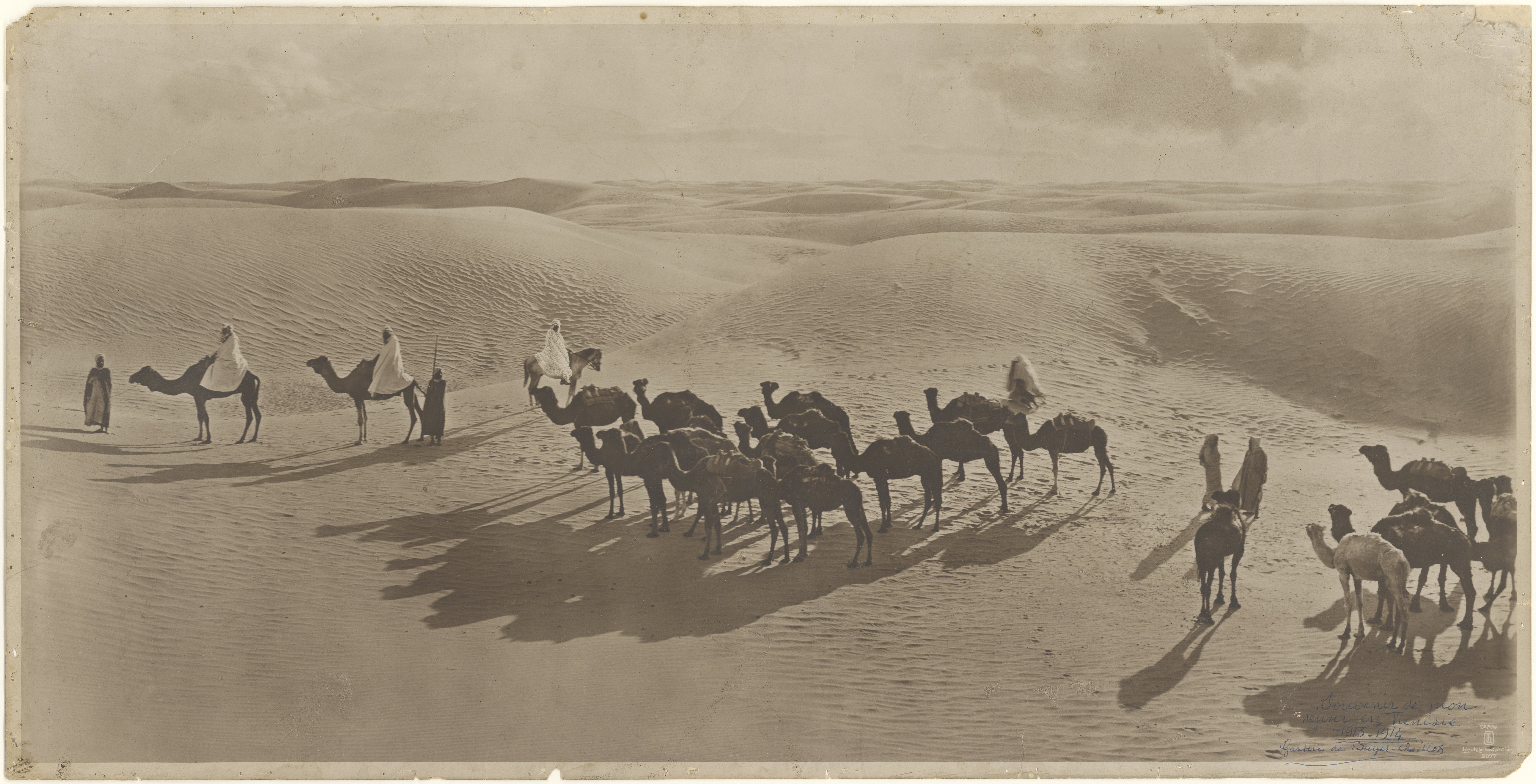 A 1910 photo by Lehnert & Landrock showing a camel caravan migration in the desert