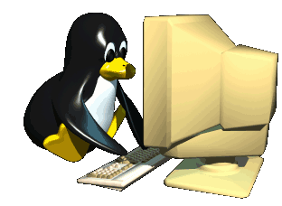 Penguin furiously typing